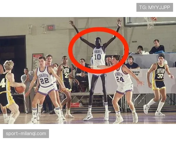 球员资格规则详解：关键判定标准与比赛参赛限制解析